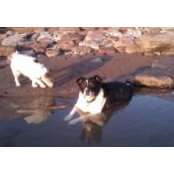 Mandy Ewington's photo