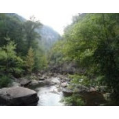 Melissa Danielsson's photo
