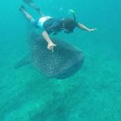 Ibrahim Wisham's photo