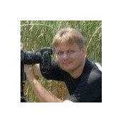Foto von Steve Karapcik