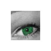 Anna Nickerson's photo