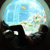 Jennifer Beaubien's photo