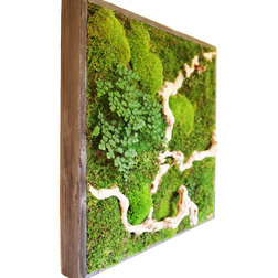 Contemporary Artificial Plants And Trees by Artisan Moss