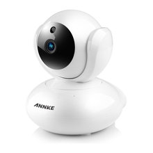 Security Cams