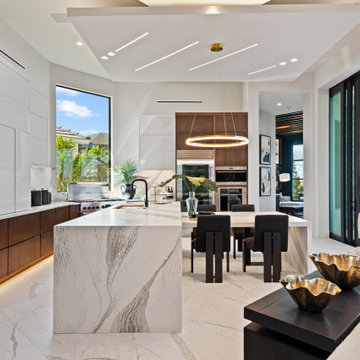 Sand Dollar Model