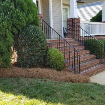 New Needles & Mulch