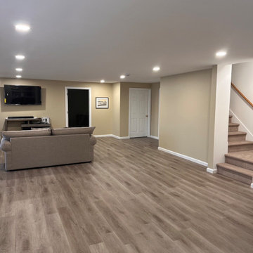 Basement Finishing