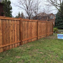 Pressure Treated Fence