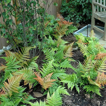 Plant Combinations