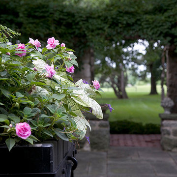 Annual Container on Terrace