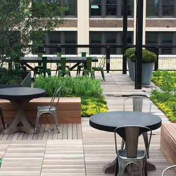 Chicago Shared Roof Deck
