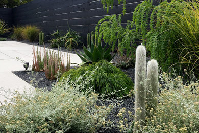 Inspiration for a mid-sized modern backyard full sun xeriscape with a retaining wall and concrete pavers.