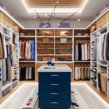 Contemporary Walk-In Closet with Blue Island