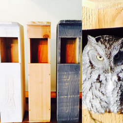 Owl box - Products