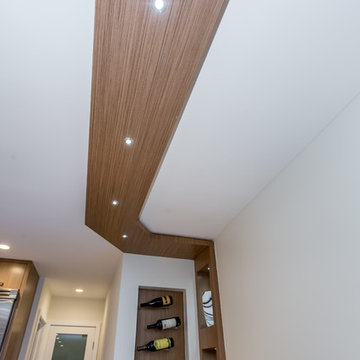 Contemporary home remodeling
