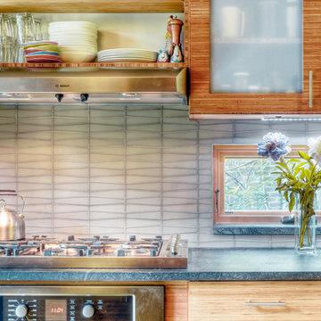 Chestnut Hill Contemporary Kitchen