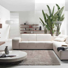 Living Room Ideas