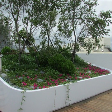 South Beach Condo Renovation