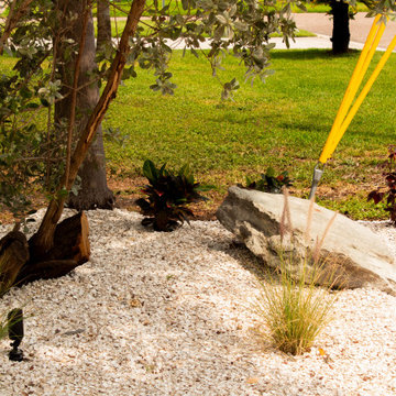 Tropical Design & Installation - South St. Petersburg