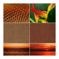 Color Inspiration - Products