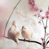 Jasmine Monro's photo
