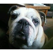 Tim Blank's photo
