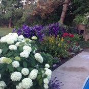 marlene hamilton's photo
