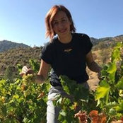 Elena Christou's photo