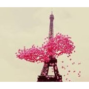 Ayesha Yon's photo
