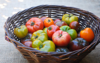 10 Delicious Heirloom Tomatoes to Grow This Summer