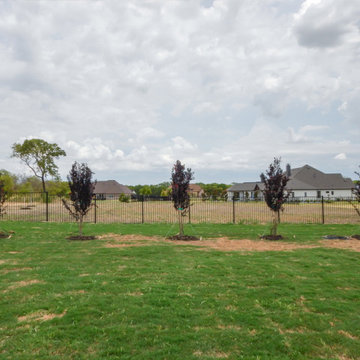 Flowering Trees & Shrubs