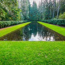 REFLECTING POOLS