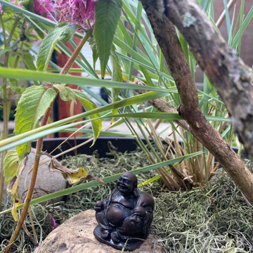 Zen Garden