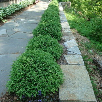 Shady Entryway