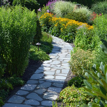 Landscape Ideas