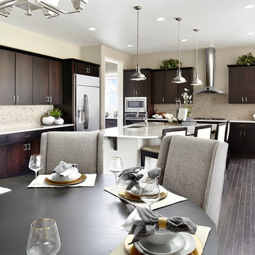 Daley model home in Colorado