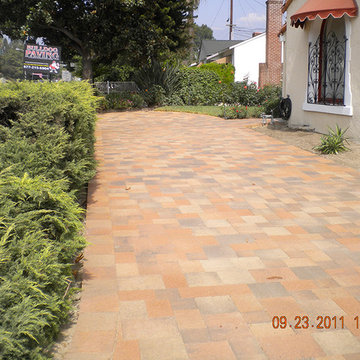 Arcadia - Bulldog Paving Inc