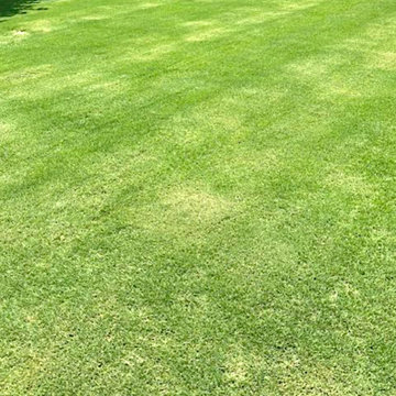 Lawncare