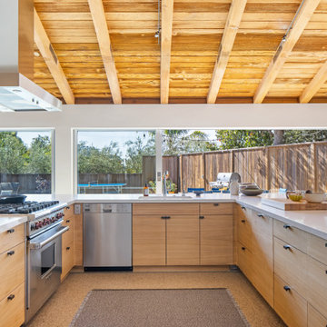 San Ysidro Mid Century Modern