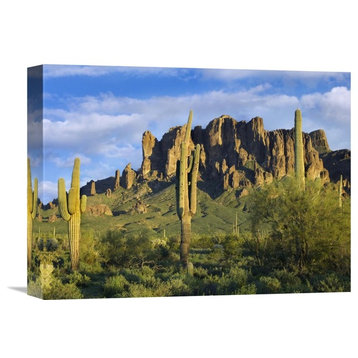 "Saguaro Cacti At Lost Dutchman State Park, Arizona" Artwork