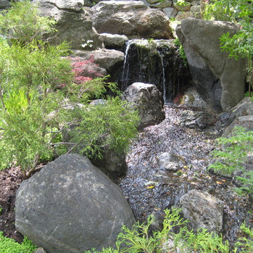Asian Inspired Garden