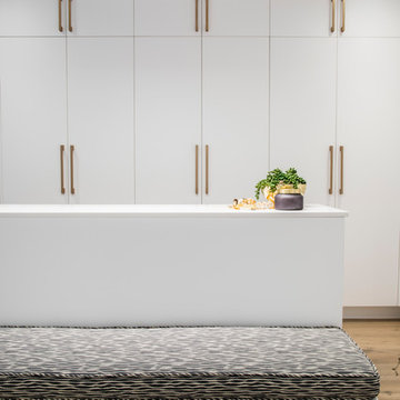 Warm modern executive home