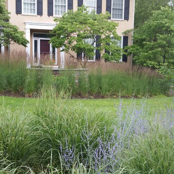 Griffiths Gardens