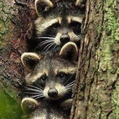 Debbie Rhodes's photo