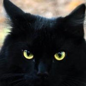 Foto von Mia Michel
