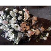 Ellen Poulos's photo