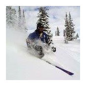 Steve Kelly's photo