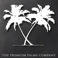 palms company