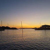 Scott Romano's photo