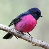 LaDonna Remmers's photo